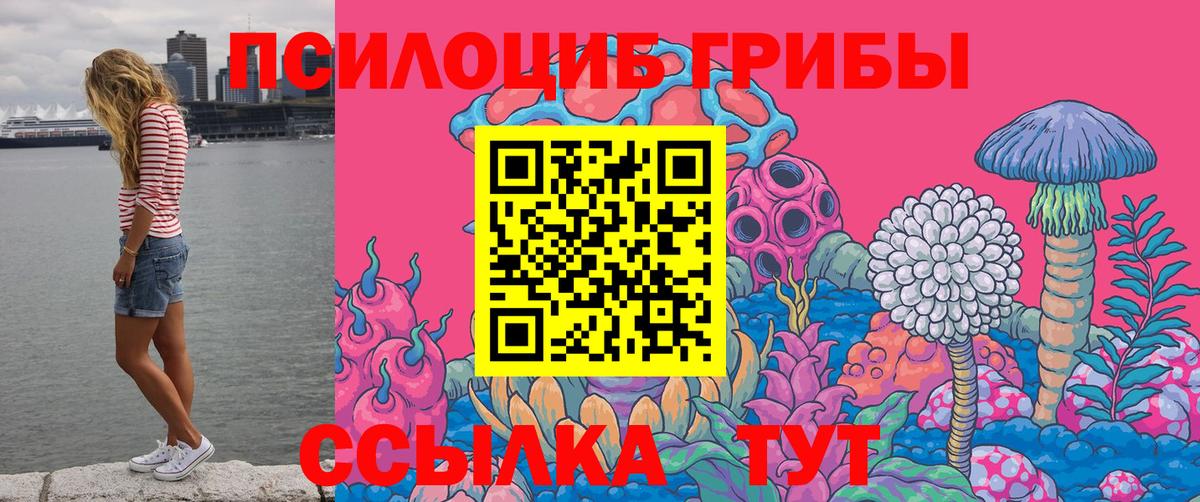 Апшеронск  Галлюциногенные грибы мицелий  Галлюциногенные грибы мицелий  Вход с VPN 