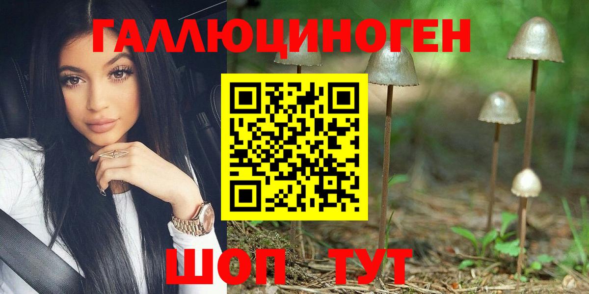 купить закладку  Апшеронск  Псилоцибиновые грибы MAGIC MUSHROOMS 