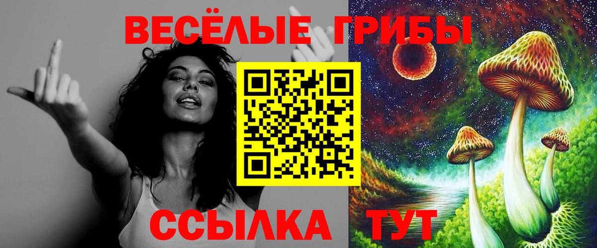 Псилоцибиновые грибы мухоморы Апшеронск