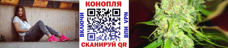 Конопля планчик блэк спрут как зайти Апшеронск что такое